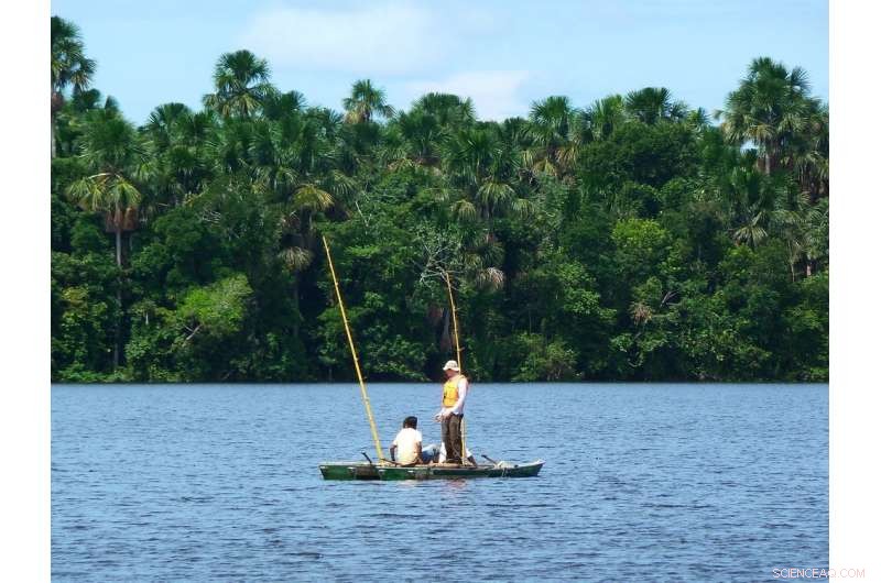 Sustainable Living of Ancient Amazonians: Lessons for Modern Conservation