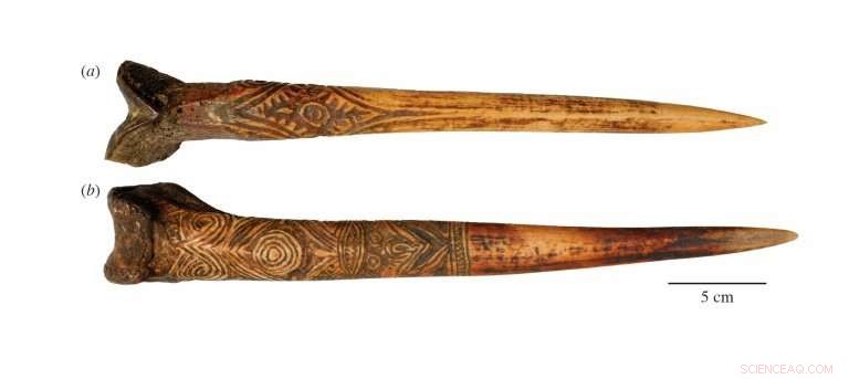 New Guinea Study Reveals Use of Human Thigh Bone Daggers in Upper Sepik Warfare