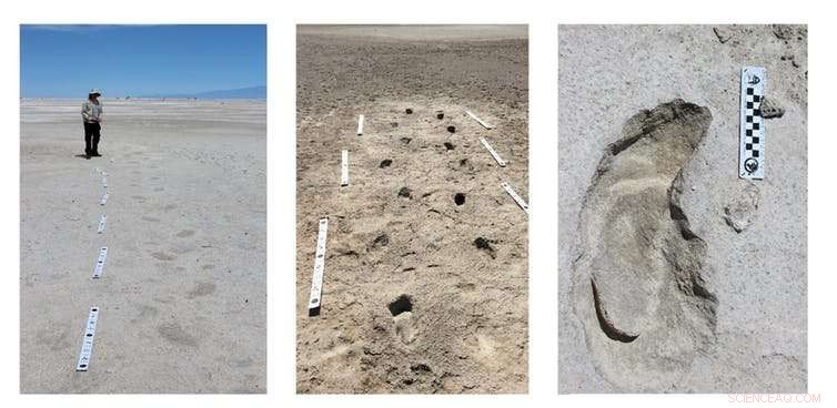 Unveiling Giant Sloth Hunting Strategies Through Ancient Human Footprints