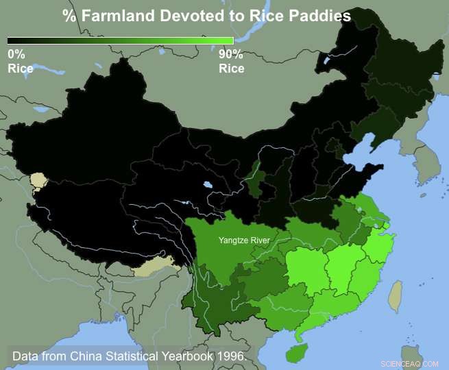 Study Reveals How Northern and Southern Chinese Behaviors Reflect Wheat vs. Rice Farming Traditions
