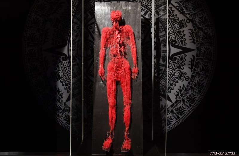 Australia s Museums: Upholding Ethical Standards in Displaying Human Remains