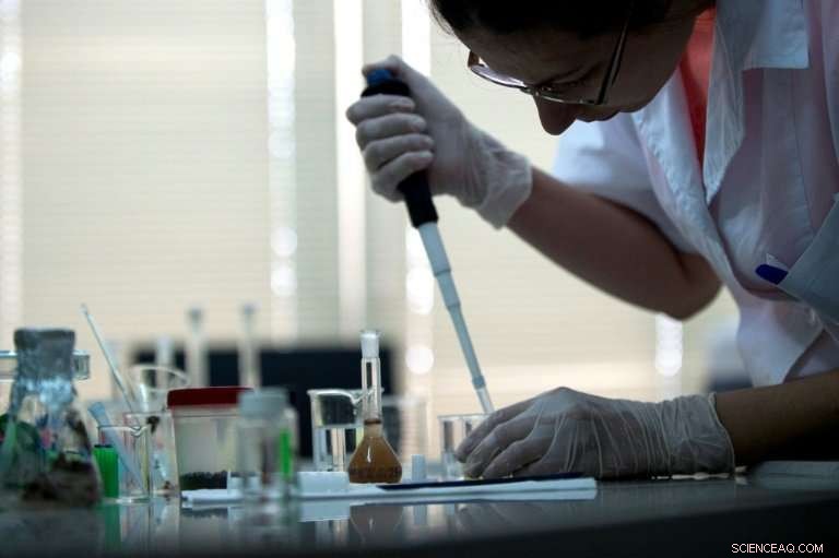 EU Implements Nationwide Tests to End Food Inequality