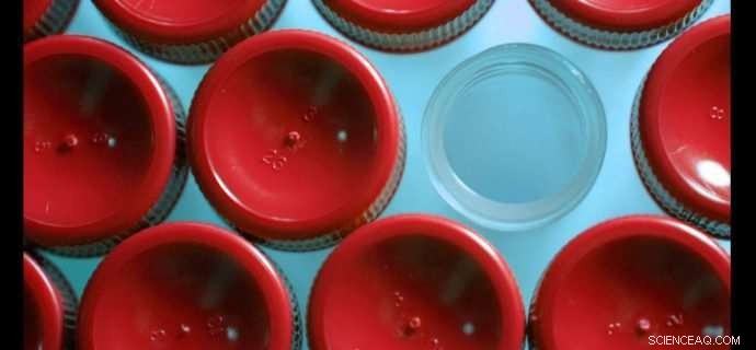 Addressing the Reproducibility Crisis: Practical Steps for Early‑Career Researchers