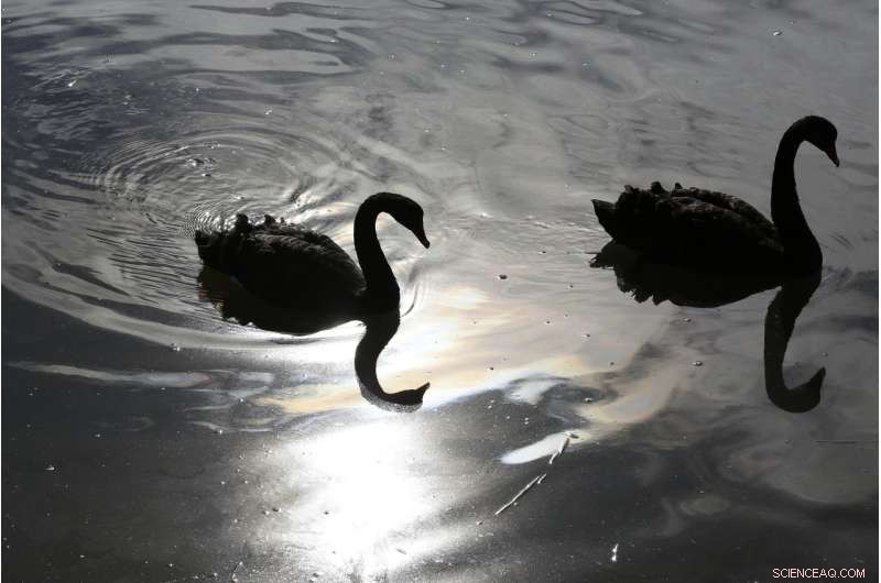 Scientific Theories: A Living, Evolving Process