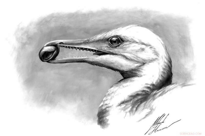 Scientists Uncover Earliest Bird Beak, Bridging Dinosaurs to Modern Birds