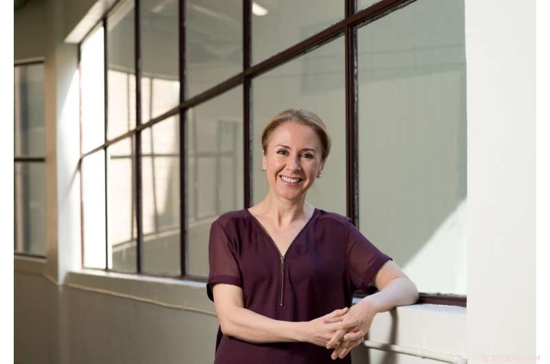 Mathematics Unveils the Adaptive Intelligence of Living Cells