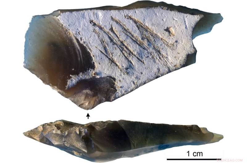 Neanderthal Symbolism Revealed: Engraved Crimean Flint Flake Unveiled