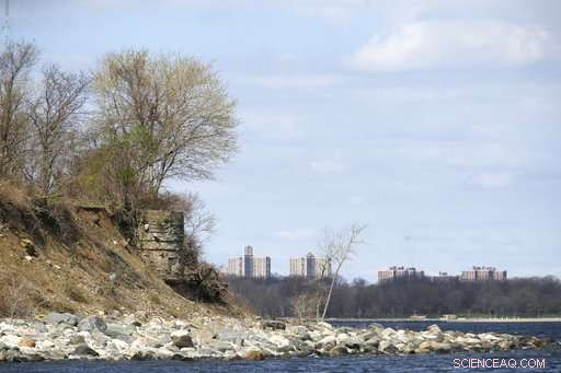 Erosion Uncovers Human Remains on New York’s Hart Island