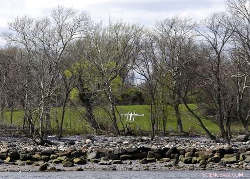Erosion Uncovers Human Remains on New York’s Hart Island