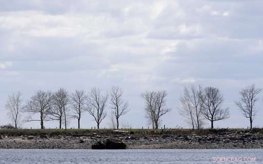 Erosion Uncovers Human Remains on New York’s Hart Island