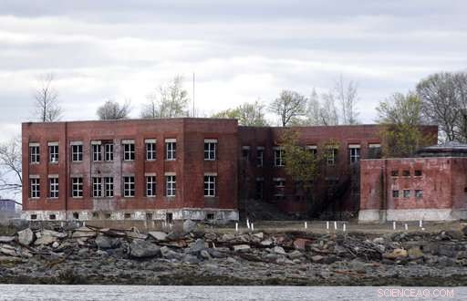 Erosion Uncovers Human Remains on New York’s Hart Island