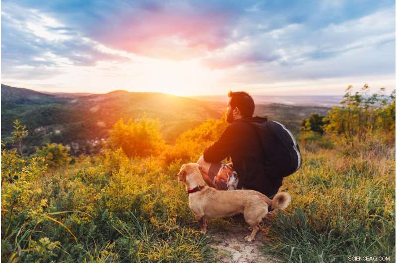 Why Reducing Work Hours Is Vital for Health and Survival