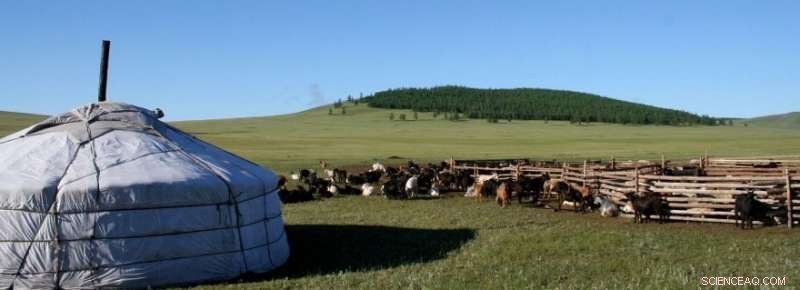 The Role of Skills in Mongolia’s Post-Socialist Social Transformation