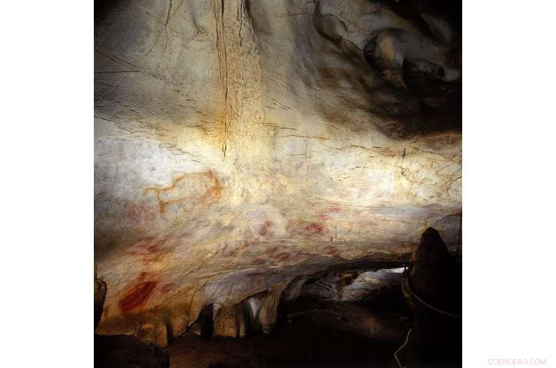 Early Humans  First Animal Paintings: Tracing the Origins of Cave Art