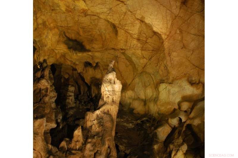Early Humans  First Animal Paintings: Tracing the Origins of Cave Art