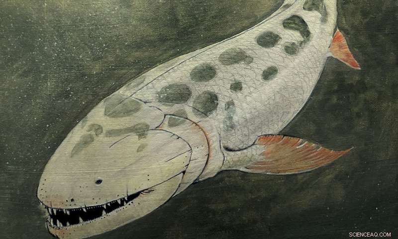 25 Years of Fossil Research Reveal Detailed Portrait of 12‑Foot Hyneria Lindae Predator