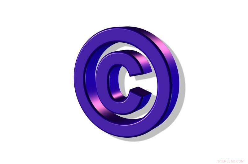 Safeguarding Intellectual Property in High‑Risk Markets: A Study on Best Practices