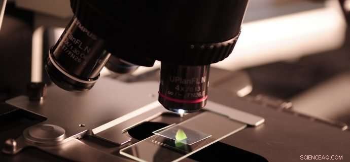 Understanding Public Attitudes Toward Science in the U.S.: Key Insights for Science Communicators