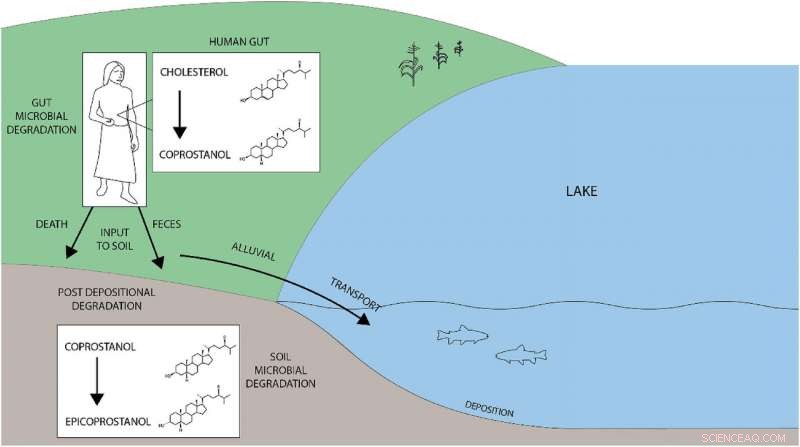 Researchers Use Fecal Chemicals to Track Population Shifts
