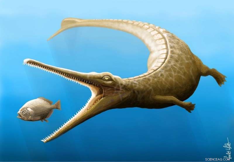 Jurassic Fossil Tail Uncovers Missing Link in Crocodile Evolution