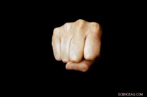 How Human Conflict Resolution Has Evolved: Insights from Recent Research