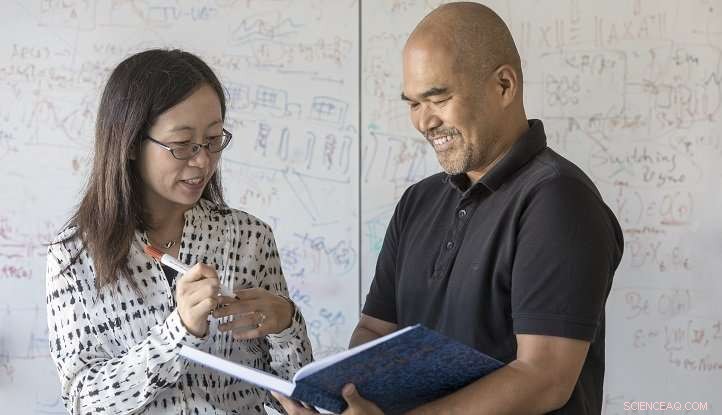 Mapping Genetic Links to Brain Structure and Function