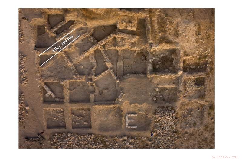 Ancient Near East Unearths Earliest Bridle Bit Use on Equids, Preceding Horses