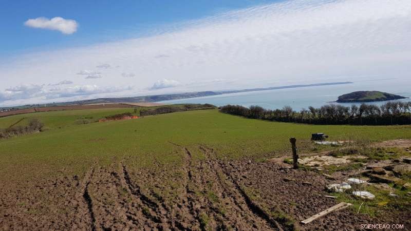 Bronze Age Cremation Unearthed: Dr. Frieman Discovers 4,000-Year-Old Human Remains in Cornwall Barrow