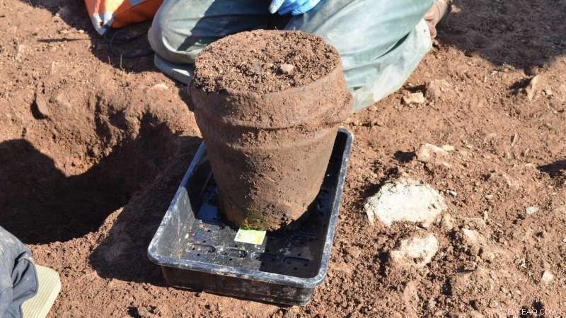 Bronze Age Cremation Unearthed: Dr. Frieman Discovers 4,000-Year-Old Human Remains in Cornwall Barrow