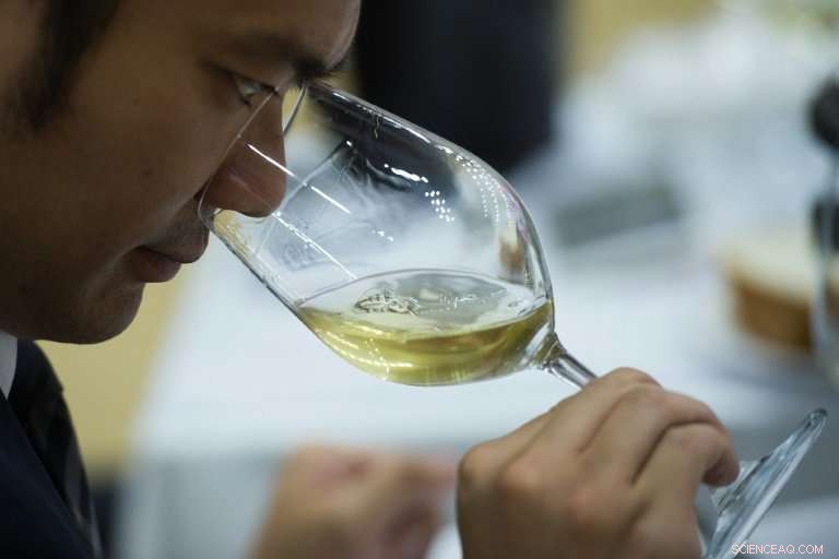 China s Wine Boom: Refined Palates Fuel Growing Domestic Success