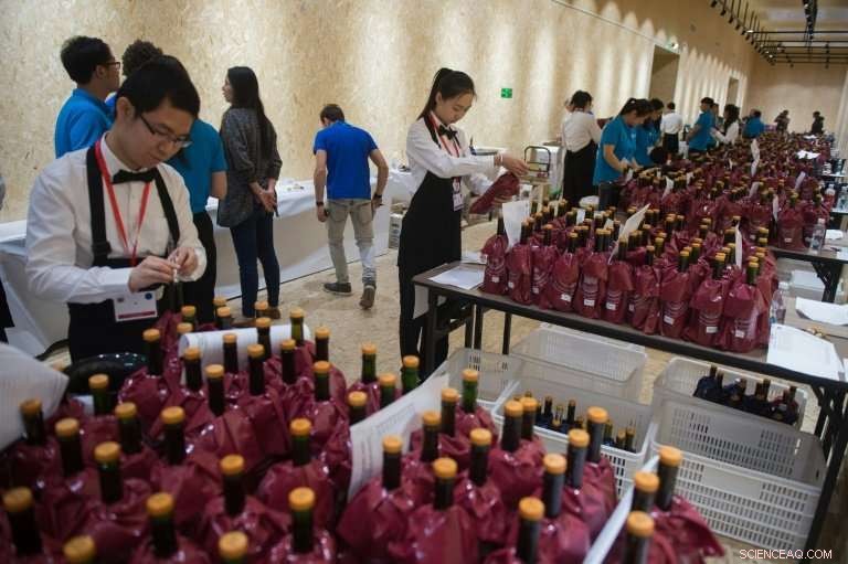 China s Wine Boom: Refined Palates Fuel Growing Domestic Success