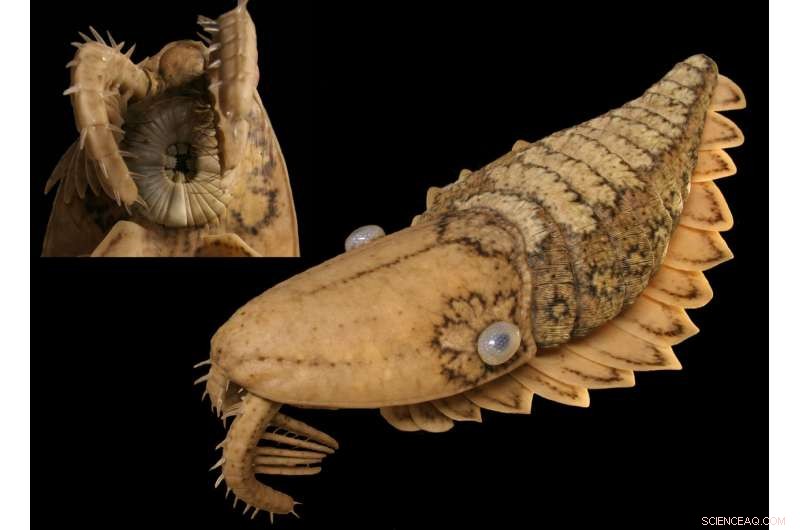 Oxford Study Illuminates Cambrian Explosion: How Early Animal Life Evolved 540 Million Years Ago