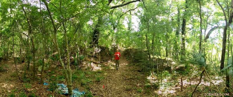 New Study Reveals Precise Timing of Ancient Mound Builders in Coastal Louisiana