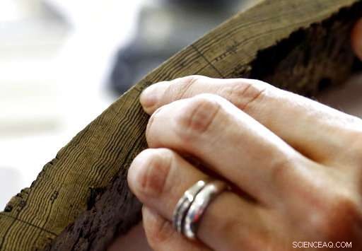 Up to 7,000 Unidentified Bodies Discovered at Former Mississippi State Asylum