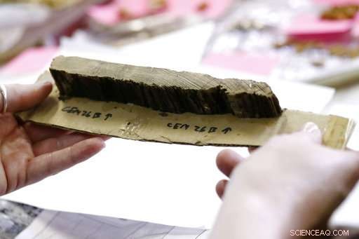 Up to 7,000 Unidentified Bodies Discovered at Former Mississippi State Asylum