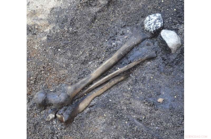 Denmark Bog Yields 2,000-Year-Old Battle Remains: A Glimpse into Germanic Warfare