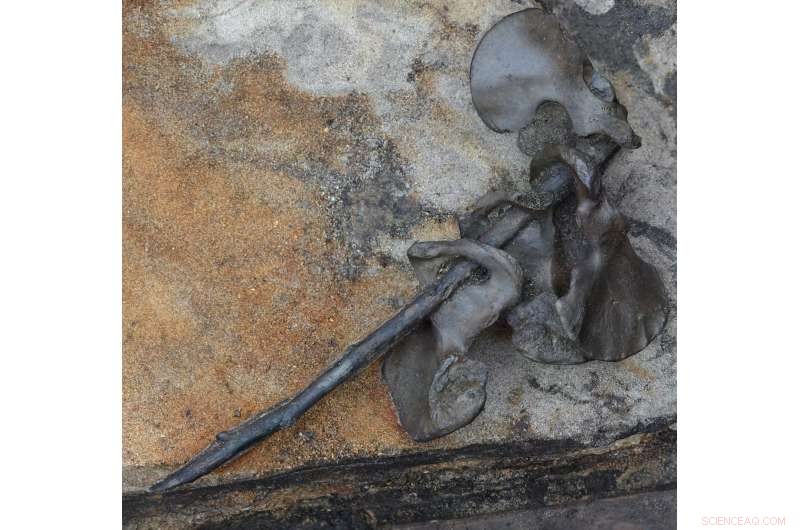 Denmark Bog Yields 2,000-Year-Old Battle Remains: A Glimpse into Germanic Warfare