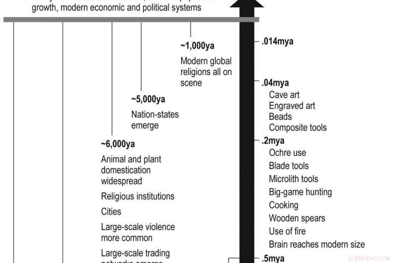 Defining the Human Niche: Evolutionary Milestones from Pleistocene to Holocene