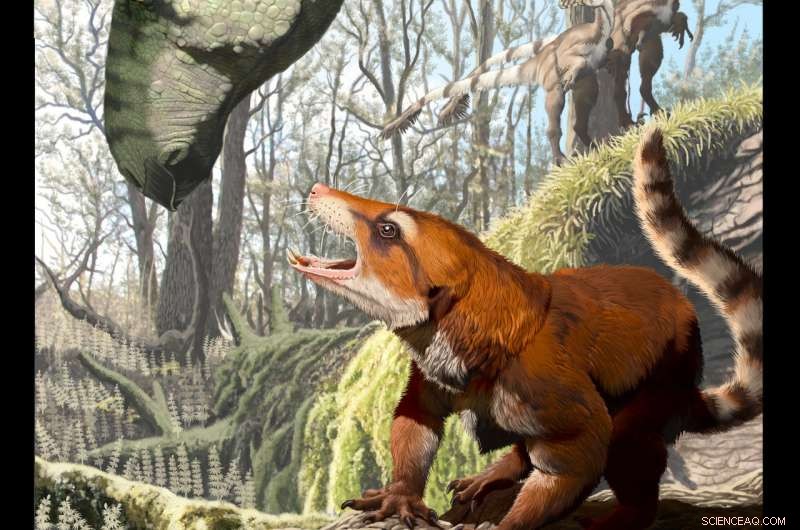 Utah Fossil Discovery Rewrites Timeline for Mammal Migration and Continental Split