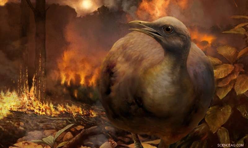Dinosaurs  Extinction Ended Global Forests and Tree‑Dwelling Birds