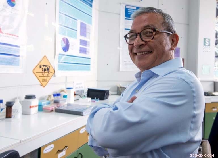 Peruvian Scientists Trace Inca Emperor Lineages Using DNA