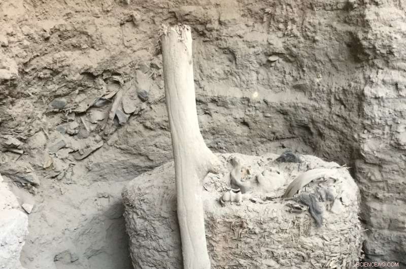 Researchers Unearth 1,000-Year-Old Mummy in Peru’s Sacred Pachacamac Site