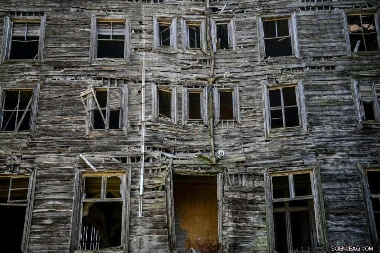 Europe’s Largest Wooden Structure Near Istanbul Faces Restoration Crisis