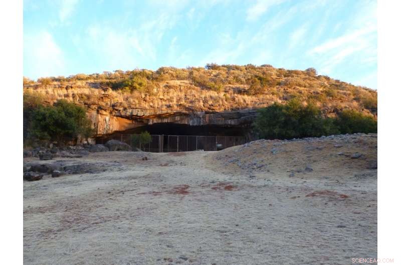 2-Million-Year-Old Prehistoric Teeth Uncover South Africa s Ancient Wet Climate