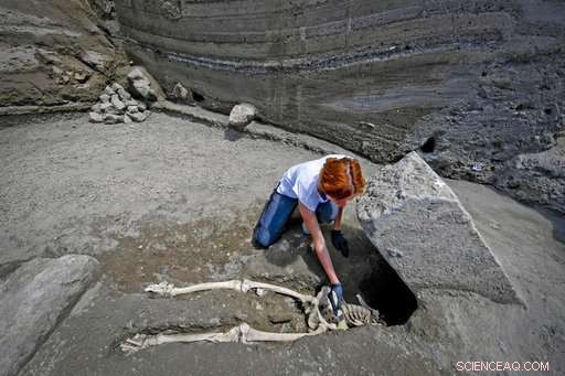 Pompeii Excavation Reveals Skeleton of Man Struck by Vesuvius Eruption