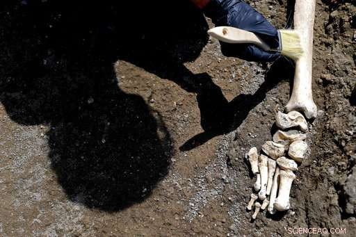 Pompeii Excavation Reveals Skeleton of Man Struck by Vesuvius Eruption