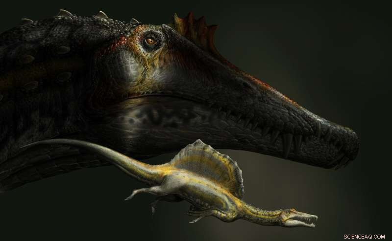 Tiny Fossil Reveals the World’s Largest Predatory Dinosaur