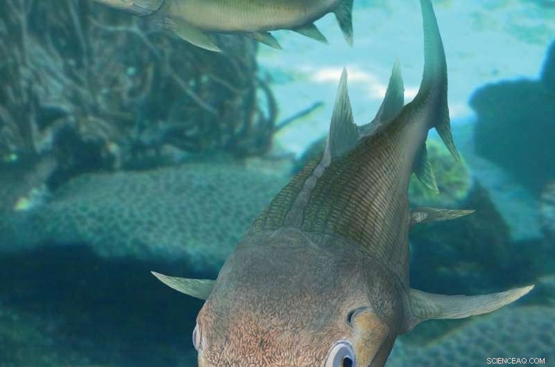 Tiny 400‑Million‑Year‑Old Fish Unveils Surprising Clues to Vertebrate Evolution