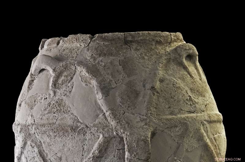 Newly Discovered Olive Oil Dates 700 Years Earlier Than Known, Found in Ancient Pot