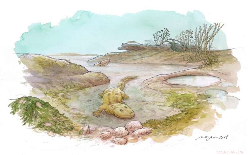 Earliest Tetrapods Likely Euryhaline: New Isotope Evidence from Estuaries